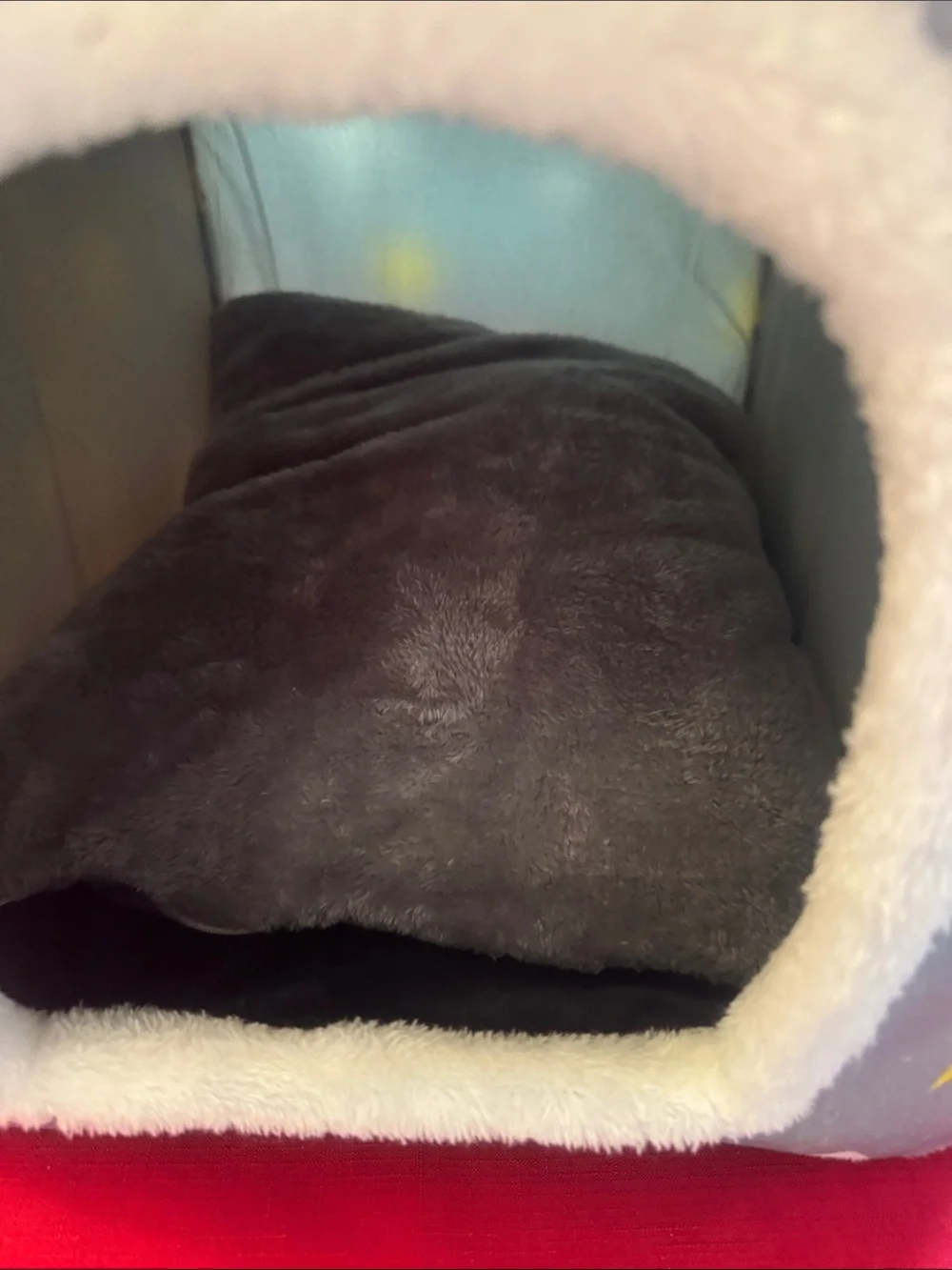 Source Unknown Gray Star-Print Plush Pet House